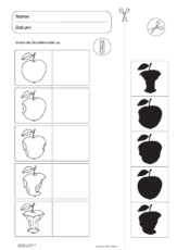 Der Apfel im Unterricht